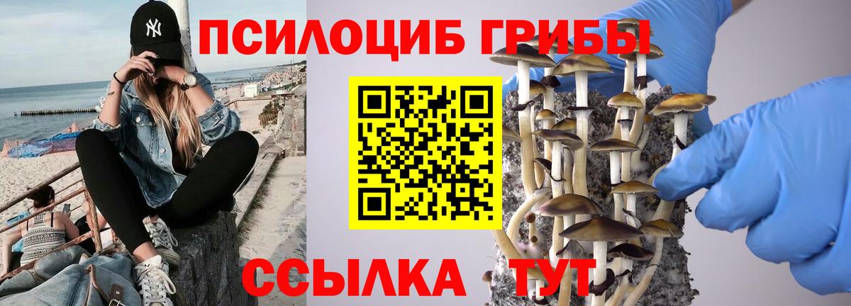 Ревда  наркотики  Вход с VPN  Галлюциногенные грибы ЛСД 